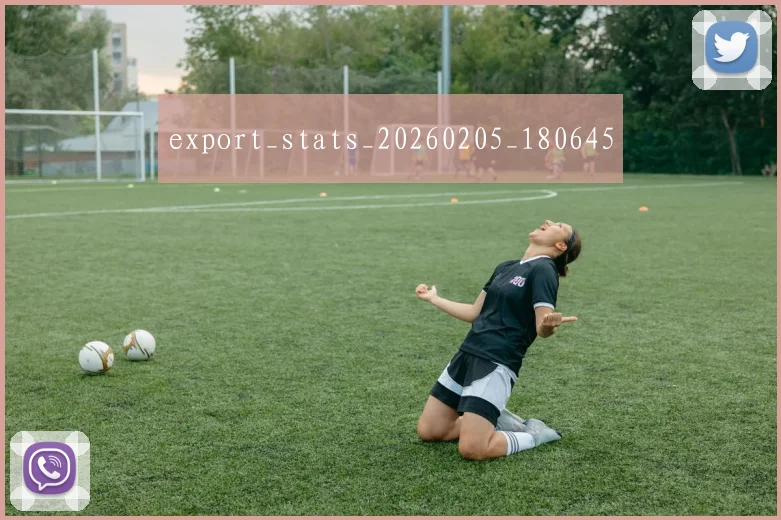 export_stats_20260205_180645