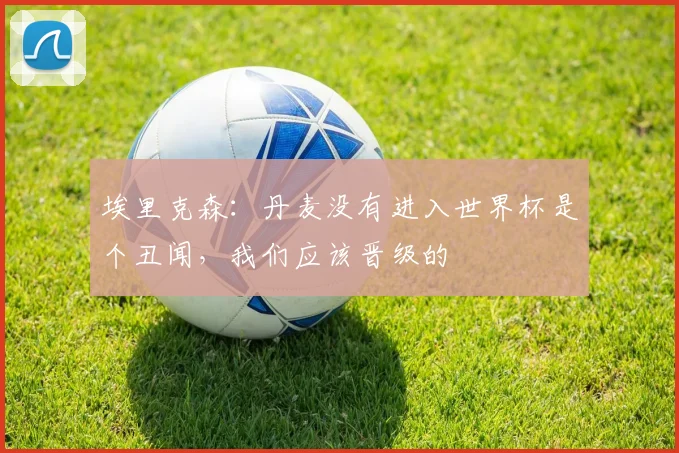 埃里克森：丹麦没有进入世界杯是个丑闻，我们应该晋级的